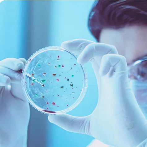 Researcher examining a patient-derived culture